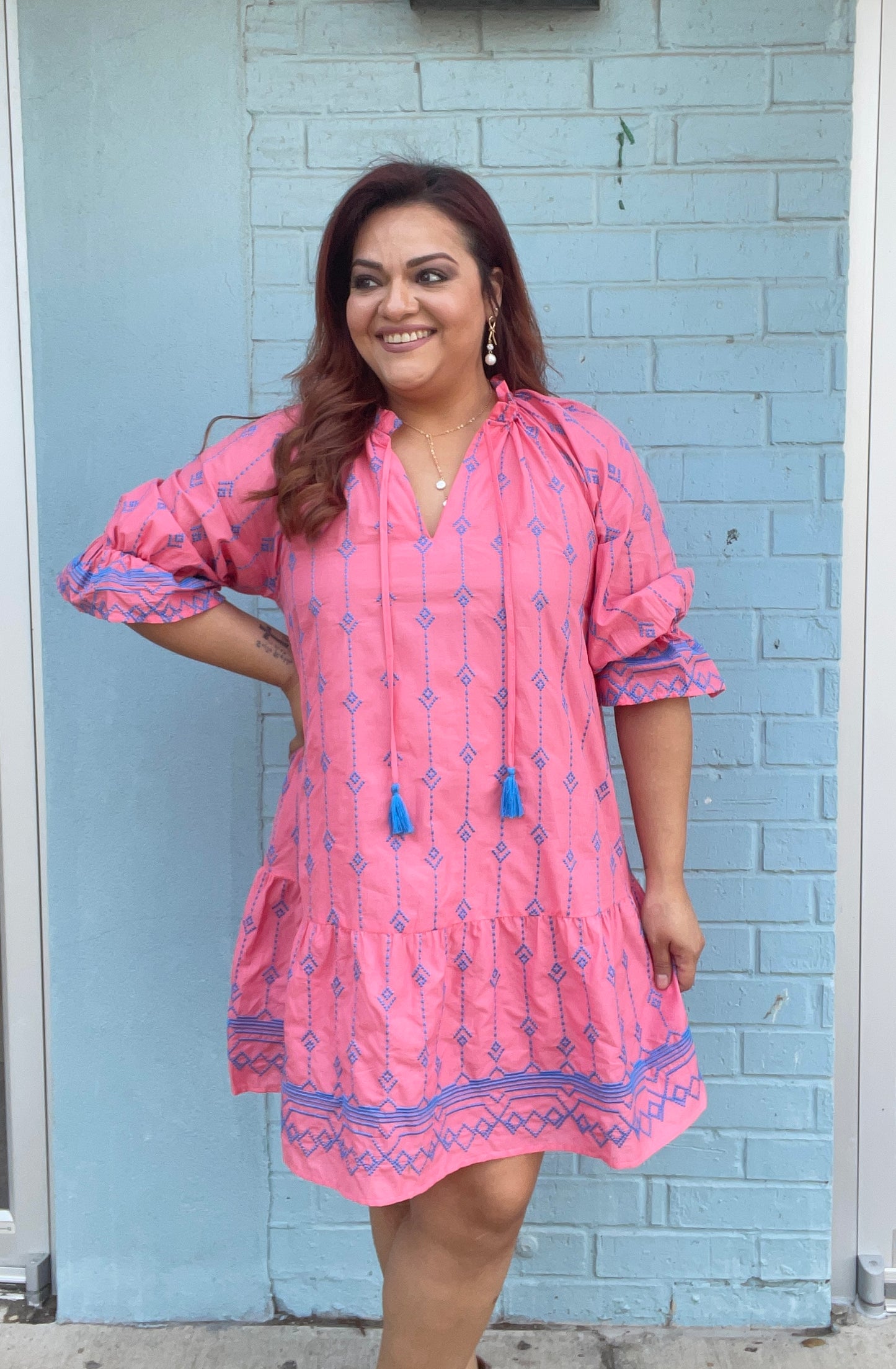 Camila Embroidered Mini Dress