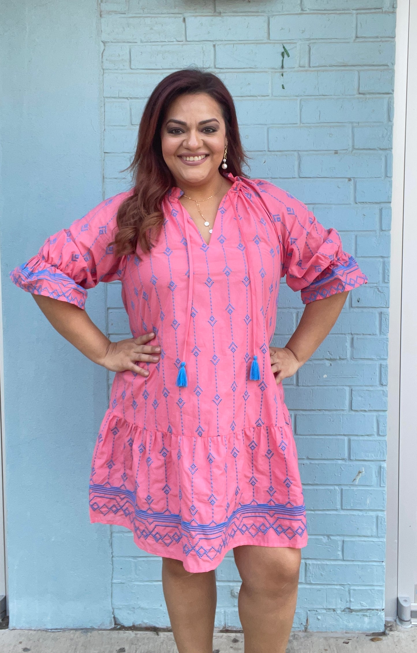 Camila Embroidered Mini Dress