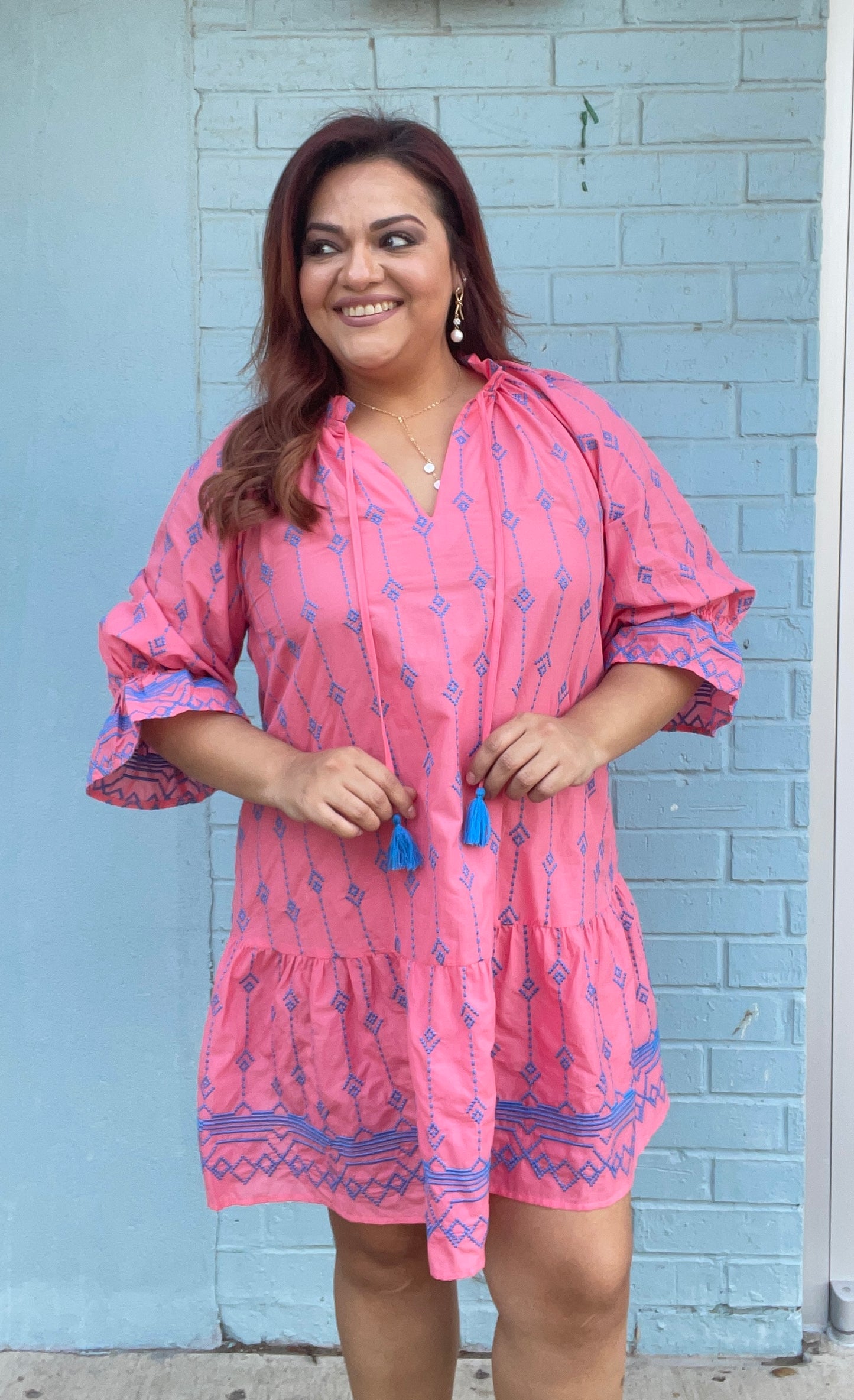 Camila Embroidered Mini Dress